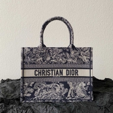 Christian Dior Shopping Bags